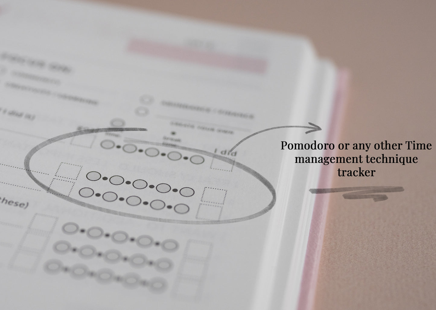 1. MyProfitBook - Rose