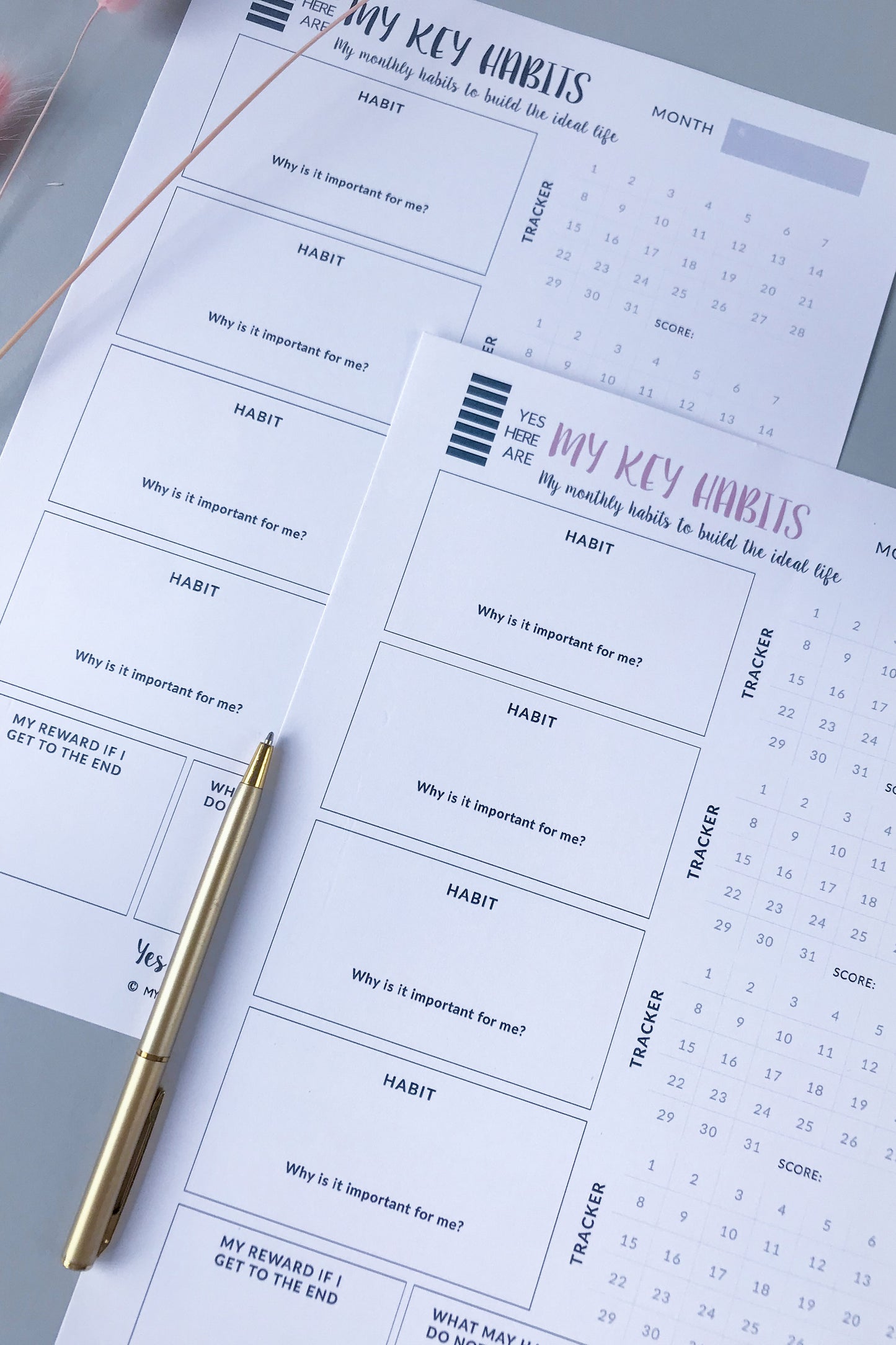 HABITS TRACKER I PDF template