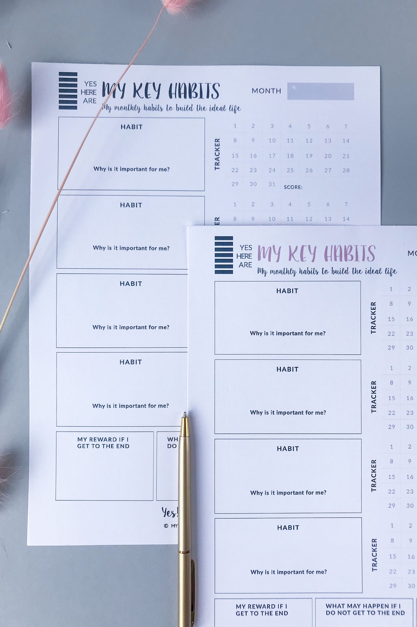 HABITS TRACKER I PDF template